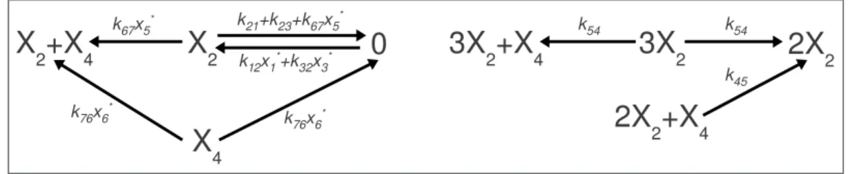 Figure 6.2: Canonic reaction network produced by Algorithm 1 corresponding to the kinetic system (6.39) - (6.40)