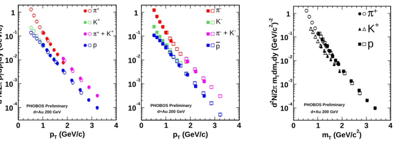 29. ábra. A d+Au ütközésekben keletkezett töltött részecskék transzverzális impulzus- (els® két panel, pozitív és negatív részecskék) és transzverzális tömeg- (jobb oldali panel, pozitív részecskék) eloszlása.