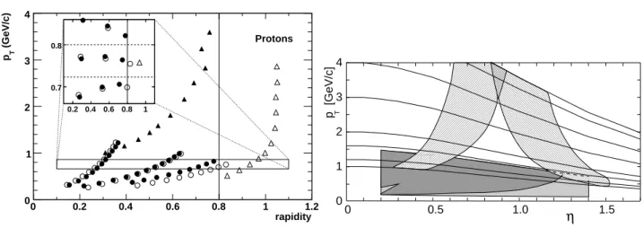 1. ábra. Bal oldal: a mérési pontok elhelyezkedése a (y, p T ) síkon. Jobb oldal: a részecske-azonosítás akceptanciája az (η, p T ) síkon