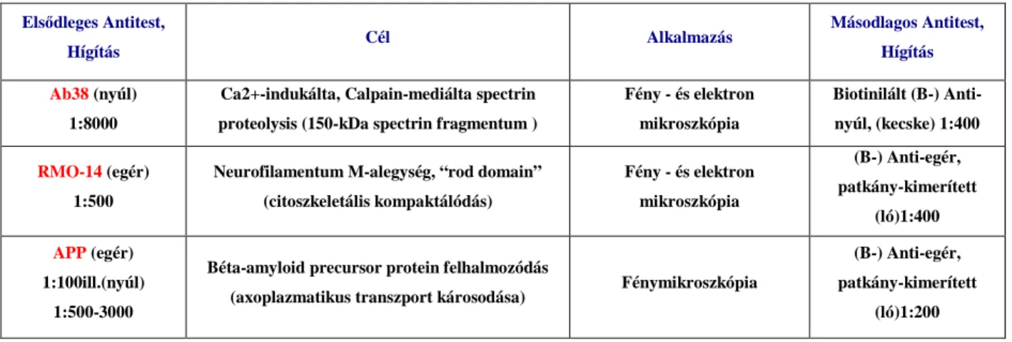 2. Táblázat. Felhasznált immunfestési protokollok: calpain-közvetített szerkezeti fehérjebontás   és az axonkárosodás klasszikus markereinek elemzése  