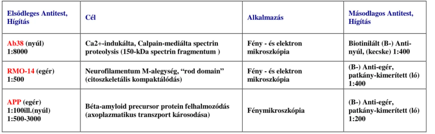 2. Táblázat. Felhasznált immunfestési protokollok: calpain-közvetített szerkezeti fehérjebontás  és az axonkárosodás klasszikus markereinek elemzése 