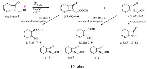 N-hidroxi-metilezett-származékaik [(±)-1−(±)-3] aszimmetrikus O-acilezésén keresztül (16