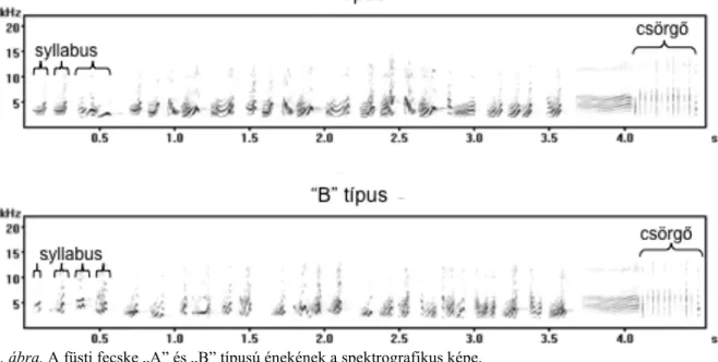 2. ábra, A füsti fecske „A” és „B” típusú énekének a spektrografikus képe. 