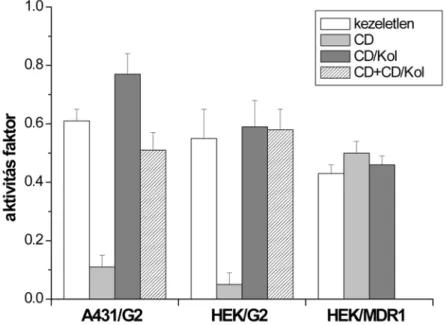 14. ábra: A koleszterin depléció és koleszterin töltés hatása az ABCG2 transzportaktivitására ép sejtekben