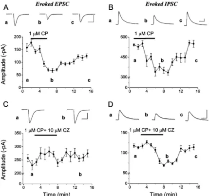 Fig. 3. Effect of synthetic cannabinoid agonist and vanilloid receptor antagonist on the amplitude of evoked postsynaptic currents in dentate granule cells using Cs-gluconate based intrapipette solution