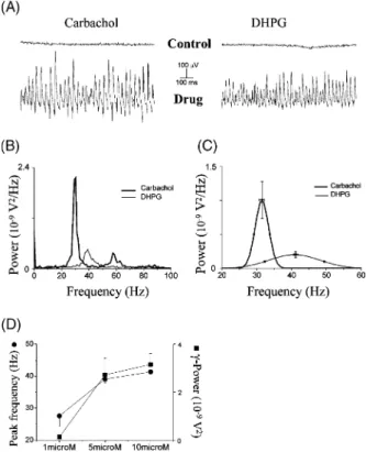 Fig. 1. Diﬀerent properties of carbachol (CCh)- and DHPG- DHPG-induced gamma-frequency network oscillations in hippocampal slices.