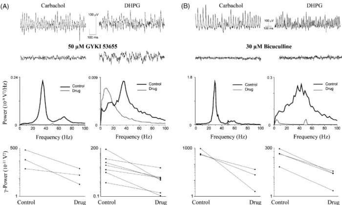 Fig. 3. Eﬀect of AMPA and GABA A receptor antagonists on gamma oscillations induced by carbachol or DHPG