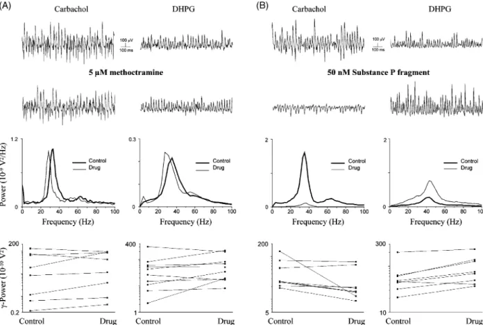 Fig. 5. Modulation of gamma oscillations by antagonism at M2 type of muscarinic receptors and by activation of neurokinin-1 (NK-1) recep- recep-tors