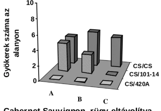 5. ábra. A bazális oltási komponensen, az alanyon fejl ı dött gyökerek száma, amikor azonos  hosszúságú (3cm) Vitis vinifera cv