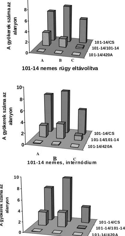 8. ábra. Az alanyon, fejl ı dött gyökerek száma, amikor azonos hosszúságú (3cm) Vitis riparia  X Vitis rupestris cv