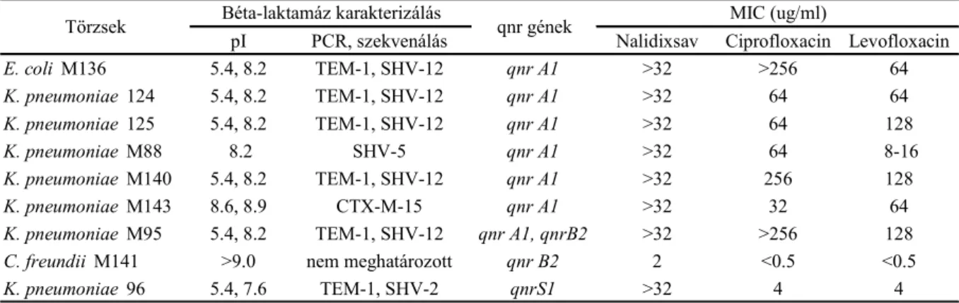 4. táblázat A qnr-pozitív ESBL-termelı törzsek által termelt béta-laktamázok jellemzése és a törzsek MIC értékei 