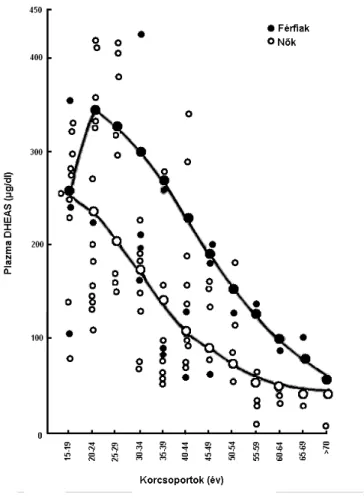 5. ábra A keringő DHEAS koncentrációja az életkor függvényében, egészséges nőkben és  férfiakban