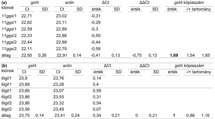 3. táblázat. A 35S-gshI transzgén és a gsh1 nyárfagén relatív expressziója a DHAC (10 -4 mol,  7  nap)  kezelt,  és  kezeletlen  transzgénikus  szürkenyár  (P