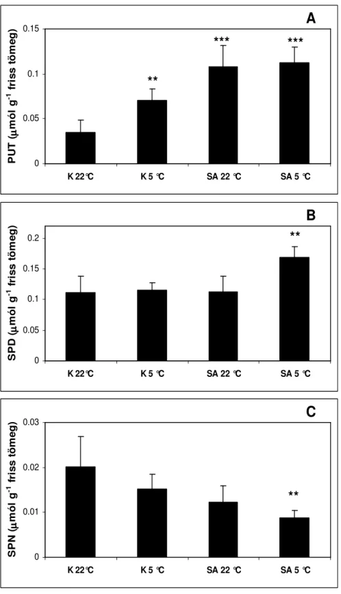 3. ábra. Szalicilsavval kezelt (SA) és kontroll (K) kukoricanövények  levelének  putreszcin  (A),  spermidin  (B)  és  spermin  (C)  tartalma  1  napos  szalicilsav  kezelés  (22°C),  majd  az  ezt  követı  3  napos  hidegkezelés  (5°C)  után