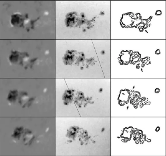 26. ábra. Bal oszlop: longitudiális (látóirányú) magnetogram, középső oszlop: az  AR  6555  aktív  vidék  debreceni  észlelései,  jobb  oszlop:  a  mágneses  tér  abszolút  értékének  izogaussz-vonalai  1991