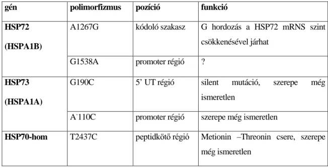 3. táblázat. A humán HSP70 család génpolimorfizmusai 