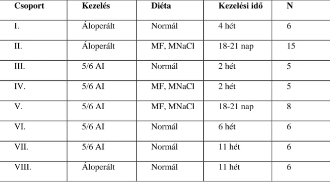 7. táblázat  A krónikus vesebetegségben a renális nNOS szerepének vizsgálatához használt kísérleti  csoportok