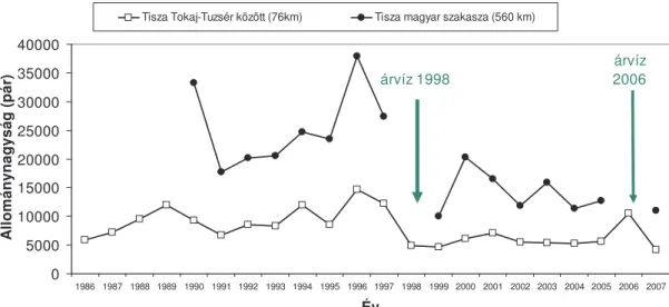 4. Ábra. A Tiszán fészkel  partifecske állomány nagyságának változása: Tokaj- Tokaj-Tuszér között 1986-2007 között, a Tiszabecs-Szeged között 1990-2007 között
