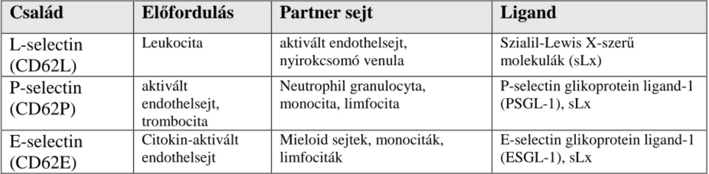 Három típust különböztetnek meg: az E és P és L-selectint (összefoglalva lsd. 2. táblázat)