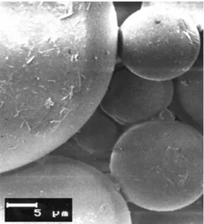 8. ábra - Microperl ®  AQ-197 granulátumok pásztázó elektronmikroszkópos képe      Granuláló folyadék: 5 %-os Kollidon ®  25; nagyítás: 2000x 