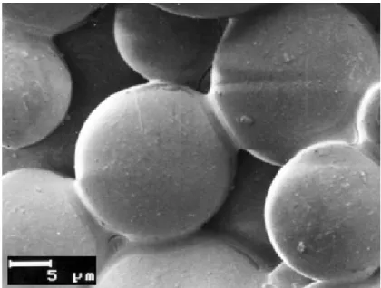 9. Ábra - Microperl ®  AQ-197 granulátumok pásztázó elektronmikroszkópos képe      Granuláló folyadék: 25 %-os Kollidon ®  25; nagyítás: 2000x 
