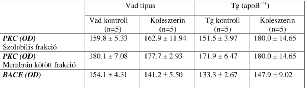 7. táblázat A koleszterin diéta hatása a PKC és BACE szintekre (optikai denzitás, OD) kontroll (wild-type), humán  apoB-100 transzgenikus (Tg /apoB +/+ /) és koleszterin diétán tartott egerek agyában