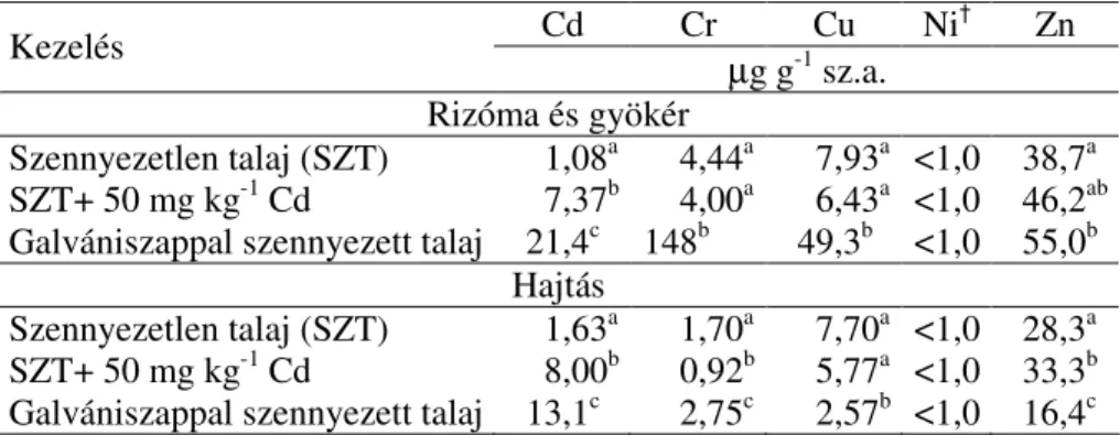   A 33. táblázat a levélcikória rizómájának és gyökerének, valamint hajtásának fémtartalmát  szemlélteti a tenyészedényes kísérlet befejezésekor