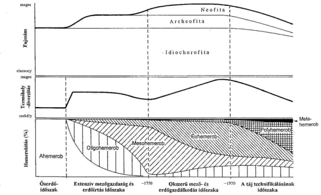 1. ábra – A közép-európai vegetáció sematizált átalakulása az antropogén hatások  kezdete óta napjainkig (S CHROEDER , 1998)