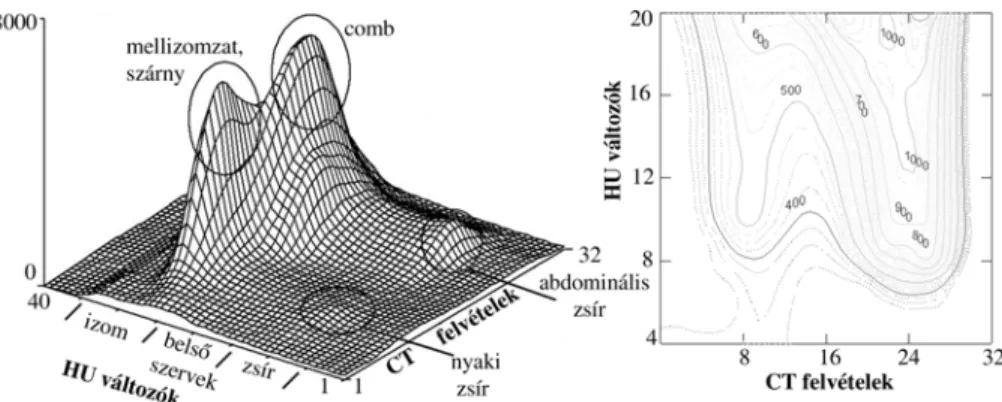 17. ábra Tojók teljestest összetételének 3D hisztogramja, a zsírdenzitás tartomány kontúrvonal  diagramjával, a vedletést megelőzően 