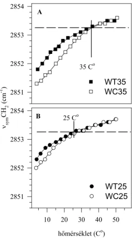12. ábra: A - A ν sym CH 2  frekvencia hőmérsékletfüggése 35 C o -on nőtt vad típusú  Synechocystis  PCC6803 sejtek tilakoid (WT35) és citoplazma (WC35) membránjában
