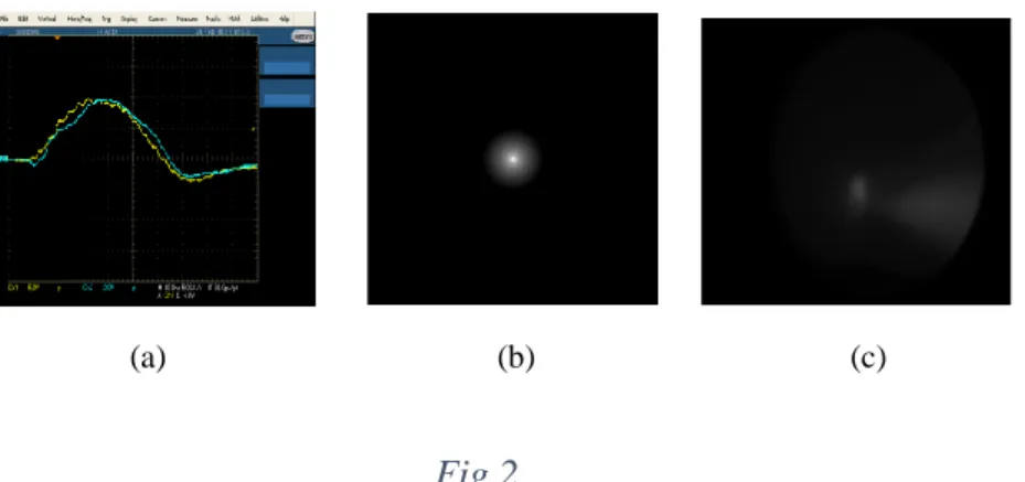 Figure 2 also demonstrates the modeled (b) and experimental (c) intensity distributions in the Ar +8 - -laser beam