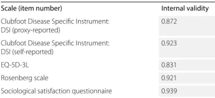 tABLe 2. Internal consistency values of the measuring instruments  used