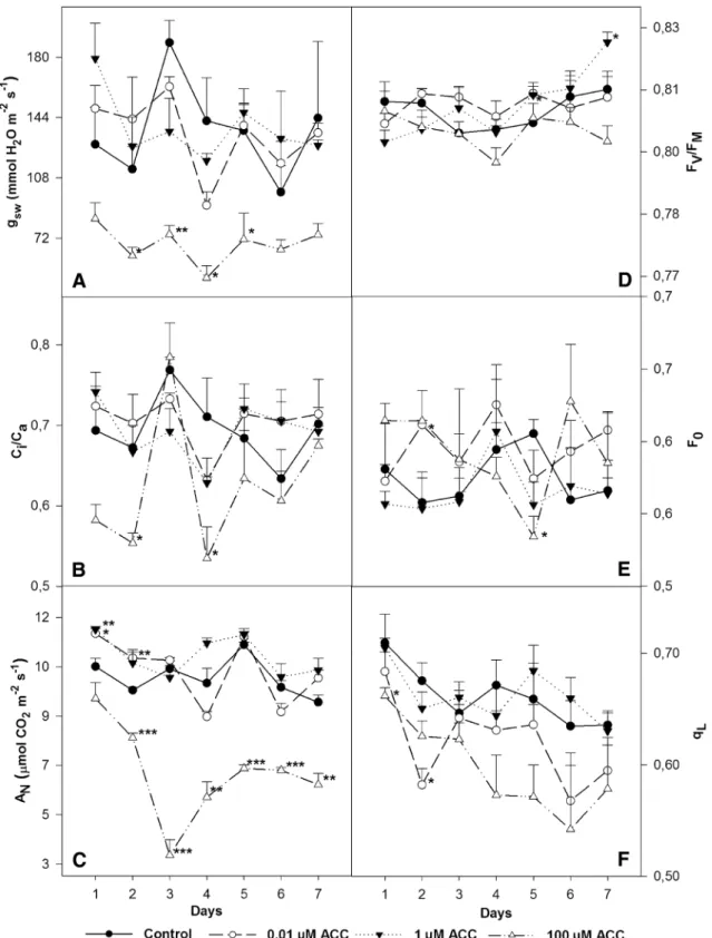 Fig. 5    Time course of changes in stomatal conductance to water  vapour   (g sw ) (a), ratio of intercellular to atmospheric  CO 2   concen-tration   (C i /C a ) (b), net assimilation rate of  CO 2    (A N ) (c), maximal  quantum yield of PSII  (F V /F M