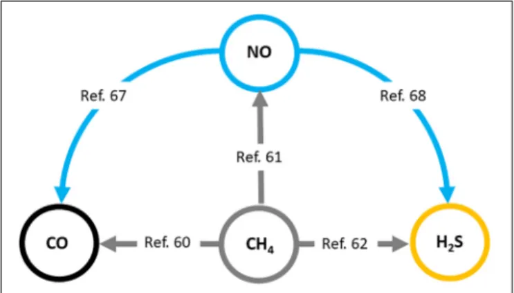 FIGURE 2 | Interaction of biologically active gases, nitric oxide (NO), carbon monoxide (CO), and hydrogen sulfide (H 2 S) with methane (CH 4 ) in plants.