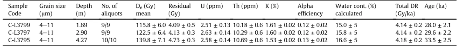 Fig. 6 shows the changes in grain size throughout the sequence.