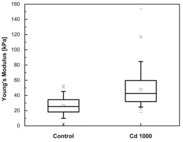 Fig. 4. Young's Modulus for D. teriolecta cells in the control sample and with cadmium