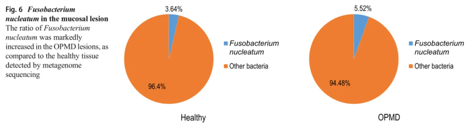 Fig. 7 Fusobacterium nucleatum-specific PCR of the healthy tissue and the OPMD OPMD showed significantly higher colonization by F.