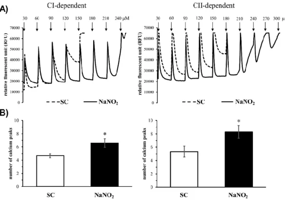 Figure 3. Representative images (A) and quantitative data (B) of the mitochondrial calcium retention  capacity (CRC) of the mitochondria isolated both from the sham and sodium-nitrite-treated groups  (SC-CI, n = 6; NaNO 2 -CI, n = 6; SC-CII, n = 6, NaNO 2 