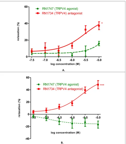 Fig. 4. Effect of selective TRPV4 agonist (RN1747) and antagonist (RN1734) on KCl-evoked control contraction of rat uteri on days 18 (A) and 22 (B) of gestation