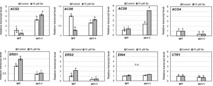 Fig. 2    Relative expression of selected ET-related genes in 7-day-old  wild-type and etr1-1 Arabidopsis grown in the presence or absence  of 15  µM selenite