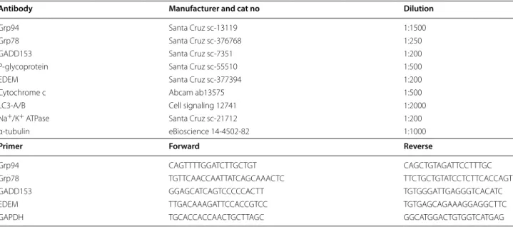 Table 1  List of  primary antibodies (with the  appropriate dilutions) applied in  western blotting and  list and  sequence  of primers used for qRT-PCR