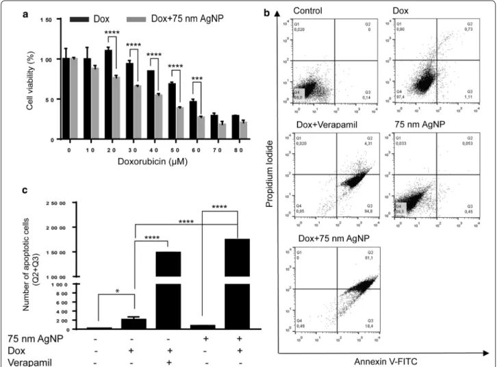 Fig. 3  Treatment with 75 nm AgNPs sensitizes drug-resistant MCF-7/KCR cells to doxorubicin-induced apoptosis