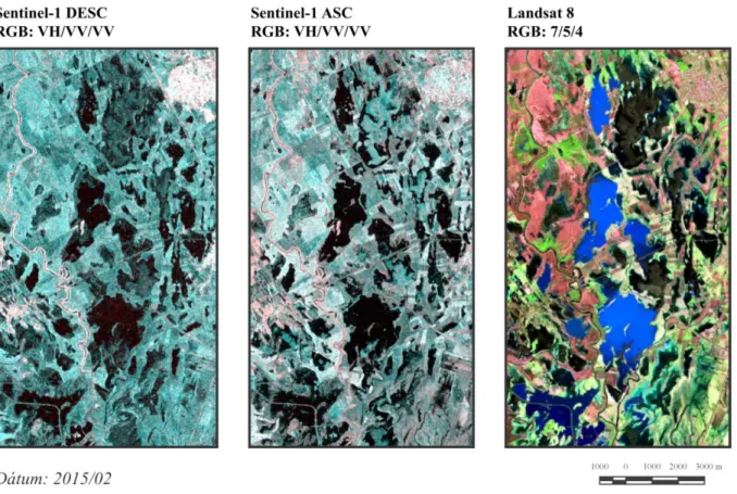 6. ábra. A 2015. februári Sentinel-1 radar és Landsat 8 felszíni reflektancia kompozitok összevetése 