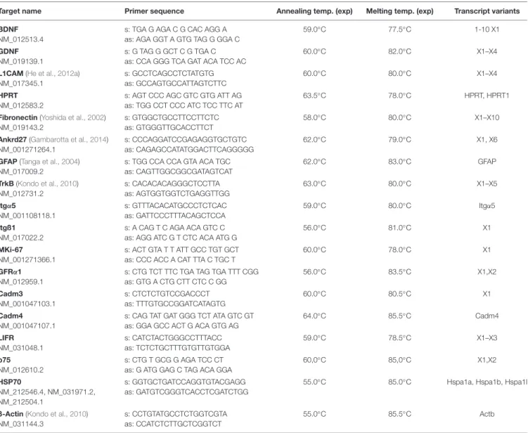 TABLE 2 | Primer sequence, annealing- and melting temperature, and detected transcript variants.