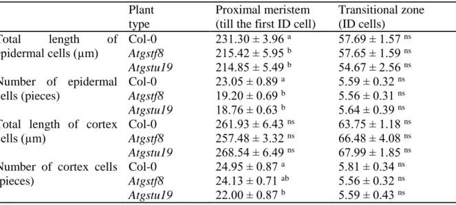 Table 1 The total length of epidermis and cortex cells in the proximal meristem and transitional  zone  (isodiametric  cells,  ID)  in  the  one-week-old  Arabidopsis  thaliana  Col-0  and  Atgstf8,  Atgstu19  insertional  mutants