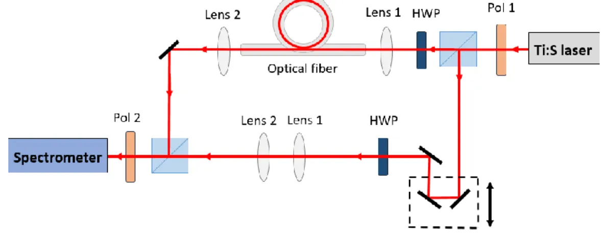 Fig. 2. Experimental setup: spectrally resolved Mach-Zehnder interferometer with the studied fibers in the sample arm