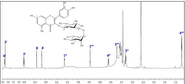 Figure 3.  1 H NMR spectrum of rutin in DMSO-d 6 . 