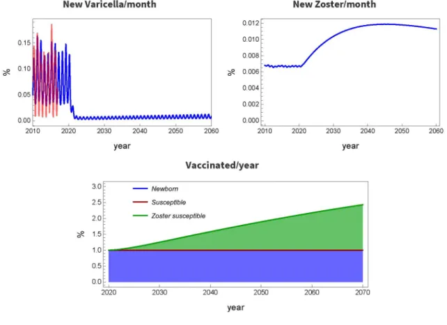 Fig.  6 .  Complete newborn, partial old-age vaccination with waning  immunity:  pb  =  1,  ps   =   0,  pv,s   =   0.2,  w   =   0.05.