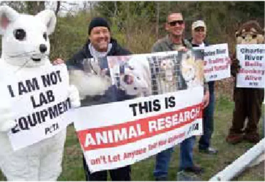 2. ábra Egy PETA által szervezett állatkísérlet-ellenes tün- tün-tetés 2011-ben, a világ egyik legnagyobb kísérleti állatokat  tenyésztő cégének (Charles Rivers Laboratories) éves ülésére  időzítve.