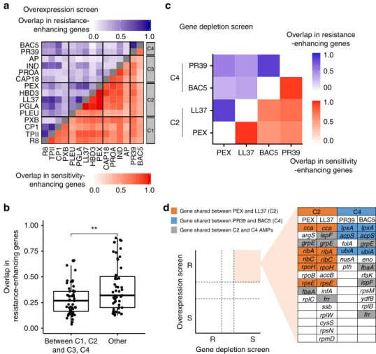 Fig. 3 Functionally diverse latent and intrinsic AMP resistomes. a Heatmap shows the corrected Jaccard similarity indices calculated for resistance- resistance-enhancing genes (blue) and sensitivity-resistance-enhancing genes (red) between AMP pairs based 